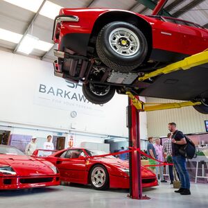 The 2019 Barkaways Open Day is a roaring success with 400 in attendance. image